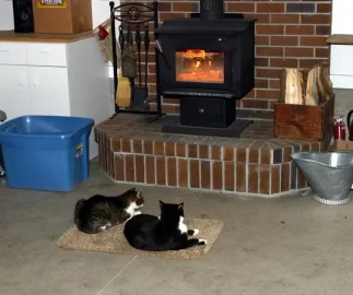 [Hearth.com] The cat has a new favorite spot..