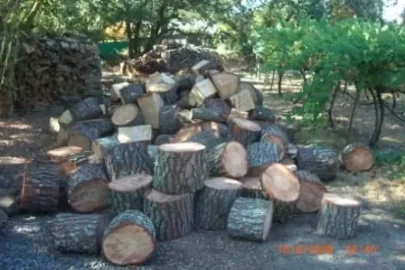 [Hearth.com] I cut and burnt some pine!!!!!!!