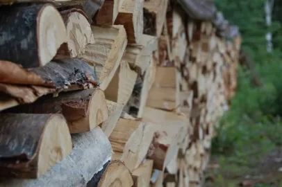 [Hearth.com] "show us your woodpile" photo contest