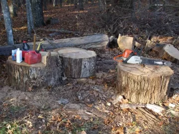 [Hearth.com] Some big trunk wood 3+year felled but still wet