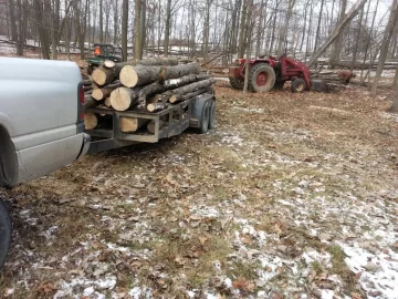 [Hearth.com] Show me your Woods Truck: Inspiration Sought