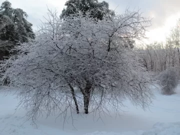 [Hearth.com] RE: Post 2013 ice storm photos