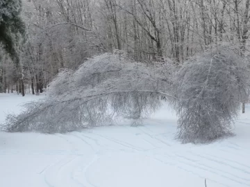 [Hearth.com] RE: Post 2013 ice storm photos