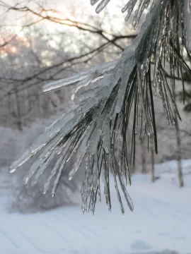 [Hearth.com] RE: Post 2013 ice storm photos