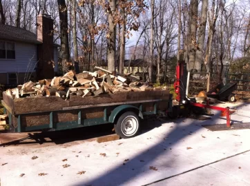 [Hearth.com] I have too much wood!  (NOT!)