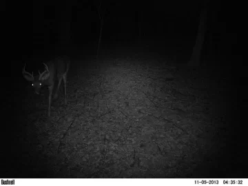 [Hearth.com] Good game camera.....