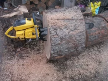 [Hearth.com] A Real man's chainsaw.....