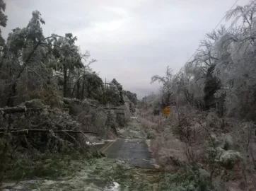 [Hearth.com] RE: Post 2013 ice storm photos