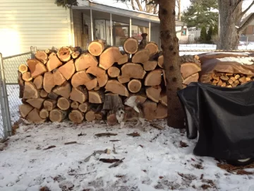 [Hearth.com] Load of White Oak before the storm