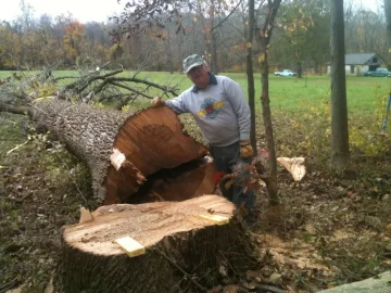 [Hearth.com] Firewood Chop Saw