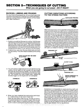 [Hearth.com] Stihl 251 newbie chainsaw problems?