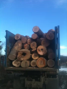 [Hearth.com] Good score,,,, even for a firewood jockey!!