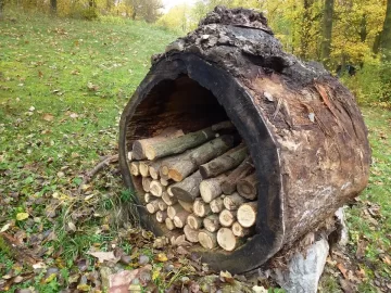 [Hearth.com] Show us yours! Wood shed