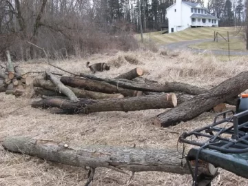 [Hearth.com] ATVs for Snaking Logs Out of the Woods