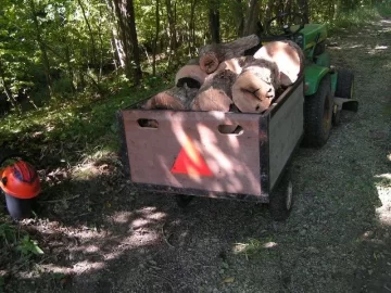 [Hearth.com] Anyone haul wood with a riding mower?