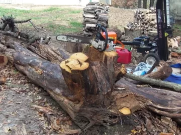 [Hearth.com] Hedge (Osage orange)? What is it?