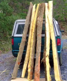 [Hearth.com] Hedge (Osage orange)? What is it?