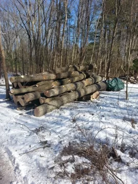 [Hearth.com] 2018 - 2019 firewood has arrived