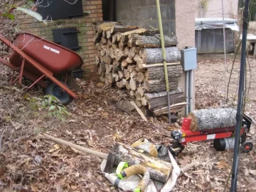 [Hearth.com] Cut down two trees yesterday to start refilling my wood shed.