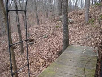 [Hearth.com] Cut down two trees yesterday to start refilling my wood shed.