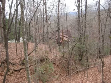 [Hearth.com] Cut down two trees yesterday to start refilling my wood shed.