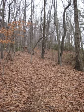 [Hearth.com] Cut down two trees yesterday to start refilling my wood shed.