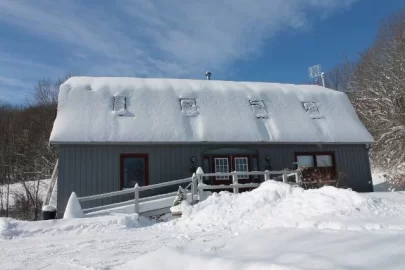 [Hearth.com] Clogging SS chimney