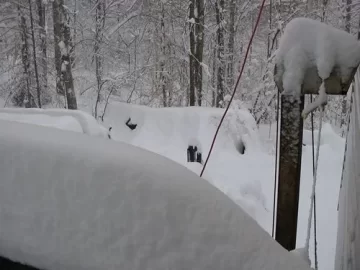 [Hearth.com] Thoughts On getting To The Tarp Covered Stacks That Are Covered In 5 - 8" Of Ice?