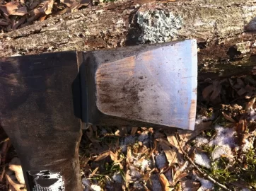 [Hearth.com] "Valuable Black Walnut"