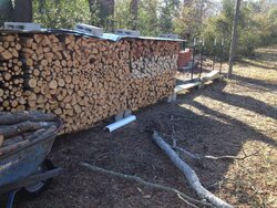 Southern Ice Storm Salvage - Dense loblolly pine