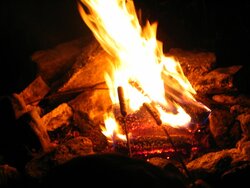 Repose Wood Pellet Fire Logs, the firewood alternative