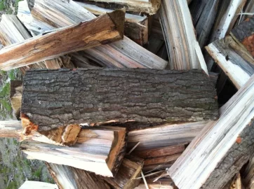 [Hearth.com] I need help identifying a few trees