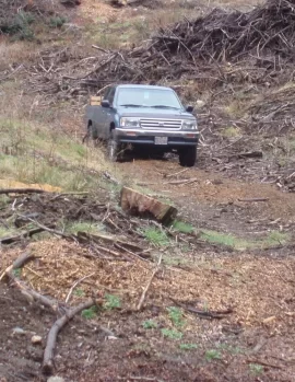 [Hearth.com] two pickup loads in the rain