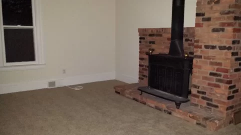 [Hearth.com] insert in chimney