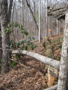 [Hearth.com] Cut down a 90 foot tall locust tree today!