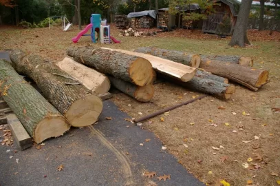 [Hearth.com] Newbie contemplating a wood splitter/ help!