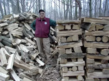 [Hearth.com] Not Termites! Borer beetles infesting wood pile