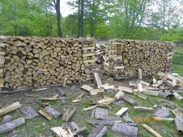 [Hearth.com] Not Termites! Borer beetles infesting wood pile