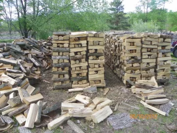 [Hearth.com] Not Termites! Borer beetles infesting wood pile