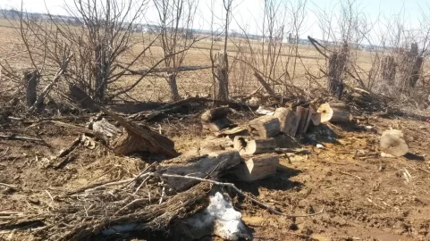 [Hearth.com] How to split locust firewood for the best burn times.