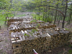 stacking of wood to season