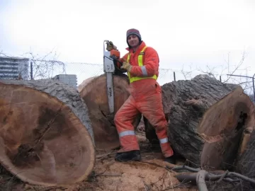 [Hearth.com] Biggest Oak I’ve Ever Cut