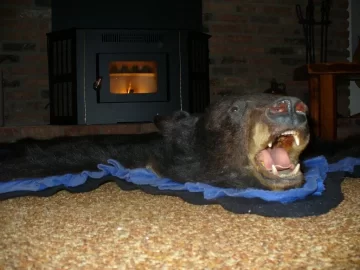 [Hearth.com] Pellet Stoves and Bear Rugs