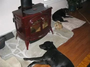 [Hearth.com] Anyone else's dog sit three inches from the stove?