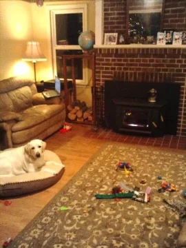 [Hearth.com] Anyone else's dog sit three inches from the stove?