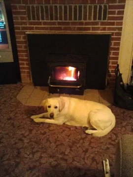 [Hearth.com] Anyone else's dog sit three inches from the stove?