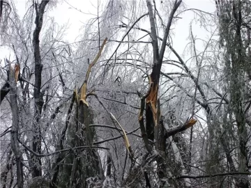 [Hearth.com] North Central Mass without power