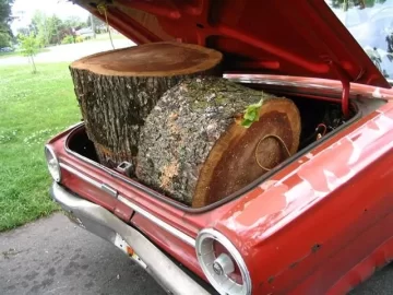 [Hearth.com] How much wood does your car haul?