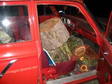 [Hearth.com] How much wood does your car haul?