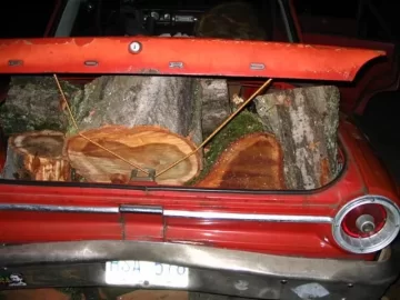 [Hearth.com] How much wood does your car haul?